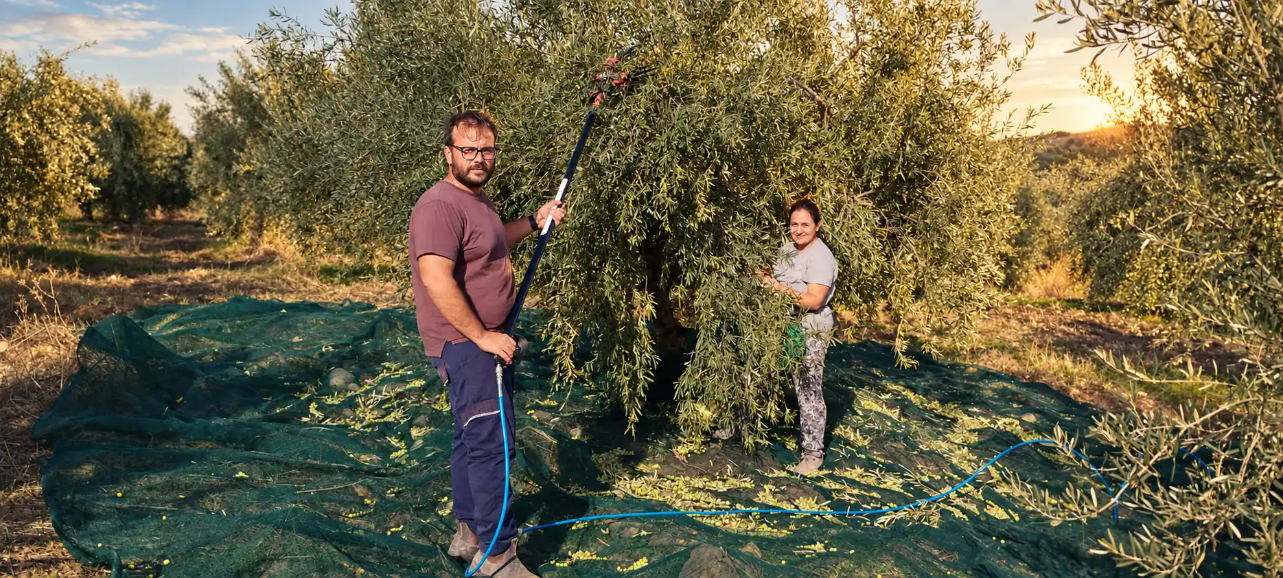 Azienda agricola biologica | Radici Musarra La Nostra Terra